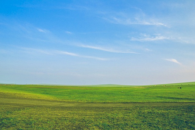 real-state-property-in-mumbai